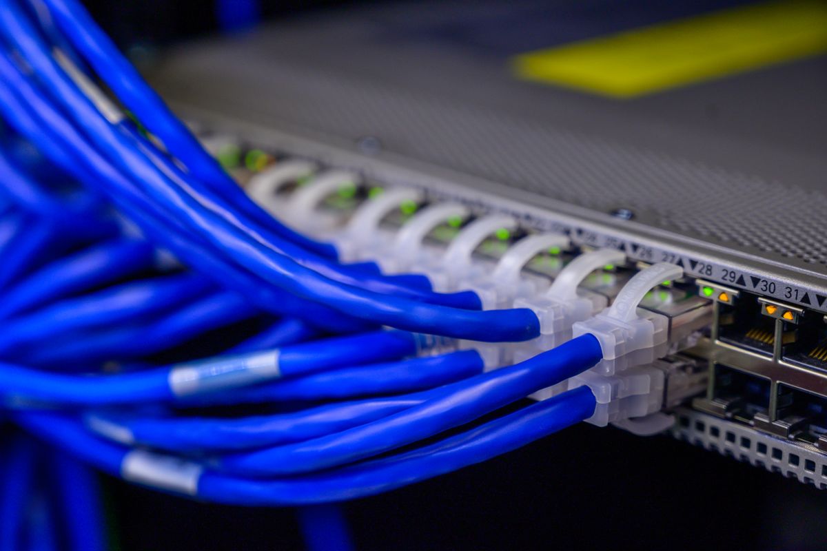 Blue network cables plugged into a switch