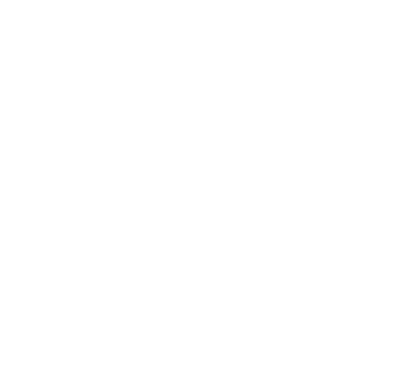Mike Strassburg IT Services & Support tiger logo